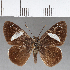  ( - CFC01776)  @11 [ ] Copyright (2018) Christer Fahraeus Center For Collection-Based Research