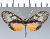  ( - CFC17896)  @11 [ ] copyright (2022) Center For Collection-Based Research Center For Collection-Based Research