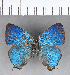  ( - CFC18142)  @11 [ ] Copyright (2018) Christer Fahraeus Center For Collection-Based Research