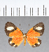  ( - CFC18144)  @11 [ ] Copyright (2018) Christer Fahraeus Center For Collection-Based Research