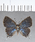  ( - CFC18151)  @11 [ ] Copyright (2018) Christer Fahraeus Center For Collection-Based Research
