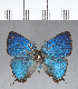  ( - CFC18195)  @11 [ ] Copyright (2018) Christer Fahraeus Center For Collection-Based Research