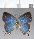  ( - CFC18200)  @11 [ ] Copyright (2018) Christer Fahraeus Center For Collection-Based Research