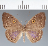  ( - CFC18246)  @11 [ ] copyright (2022) Center For Collection-Based Research Center For Collection-Based Research