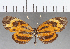  ( - CFC01825)  @11 [ ] Copyright (2019) Christer Fahraeus Center For Collection-Based Research