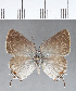  ( - CFC18308)  @13 [ ] Copyright (2018) Christer Fahraeus Center For Collection-Based Research