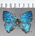  ( - CFC18351)  @11 [ ] Copyright (2018) Christer Fahraeus Center For Collection-Based Research