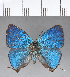  ( - CFC18424)  @11 [ ] Copyright (2018) Christer Fahraeus Center For Collection-Based Research