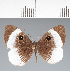  ( - CFC18482)  @11 [ ] copyright (2022) Center For Collection-Based Research Center For Collection-Based Research