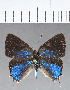  ( - CFC18483)  @11 [ ] Copyright (2018) Christer Fahraeus Center For Collection-Based Research