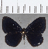  ( - CFC18490)  @11 [ ] Copyright (2019) Christer Fahraeus Center For Collection-Based Research