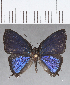  ( - CFC18495)  @11 [ ] Copyright (2019) Christer Fahraeus Center For Collection-Based Research