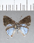  ( - CFC18601)  @11 [ ] Copyright (2018) Christer Fahraeus Center For Collection-Based Research