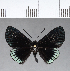  ( - CFC18610)  @11 [ ] Copyright (2018) Christer Fahraeus Center For Collection-Based Research