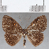  ( - CFC18625)  @11 [ ] Copyright (2019) Christer Fahraeus Center For Collection-Based Research