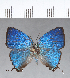  ( - CFC18655)  @11 [ ] Copyright (2018) Christer Fahraeus Center For Collection-Based Research