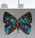  ( - CFC18658)  @11 [ ] Copyright (2018) Christer Fahraeus Center For Collection-Based Research