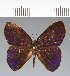  ( - CFC18676)  @11 [ ] copyright (2022) Center For Collection-Based Research Center For Collection-Based Research
