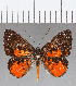  ( - CFC18706)  @11 [ ] Copyright (2019) Christer Fahraeus Center For Collection-Based Research