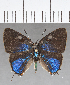  ( - CFC18709)  @13 [ ] Copyright (2019) Christer Fahraeus Center For Collection-Based Research