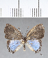  ( - CFC18806)  @11 [ ] Copyright (2018) Christer Fahraeus Center For Collection-Based Research
