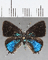  ( - CFC18819)  @11 [ ] Copyright (2019) Christer Fahraeus Center For Collection-Based Research