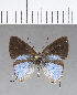  ( - CFC18826)  @11 [ ] Copyright (2018) Christer Fahraeus Center For Collection-Based Research