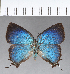  ( - CFC18872)  @11 [ ] Copyright (2018) Christer Fahraeus Center For Collection-Based Research