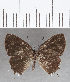  ( - CFC18902)  @11 [ ] Copyright (2019) Christer Fahraeus Center For Collection-Based Research