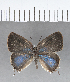  ( - CFC18915)  @11 [ ] Copyright (2018) Christer Fahraeus Center For Collection-Based Research