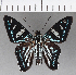  ( - CFC18996)  @13 [ ] Copyright (2018) Christer Fahraeus Center For Collection-Based Research
