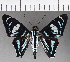  ( - CFC18998)  @11 [ ] Copyright (2019) Christer Fahraeus Center For Collection-Based Research