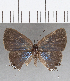  ( - CFC19003)  @11 [ ] Copyright (2019) Christer Fahraeus Center For Collection-Based Research