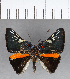  ( - CFC19047)  @11 [ ] Copyright (2018) Christer Fahraeus Center For Collection-Based Research