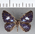  ( - CFC19058)  @11 [ ] Copyright (2018) Christer Fahraeus Center For Collection-Based Research