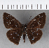  ( - CFC19094)  @11 [ ] Copyright (2018) Christer Fahraeus Center For Collection-Based Research