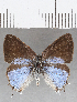  ( - CFC19120)  @11 [ ] Copyright (2019) Christer Fahraeus Center For Collection-Based Research