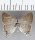  ( - CFC19128)  @13 [ ] Copyright (2019) Christer Fahraeus Center For Collection-Based Research