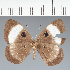  ( - CFC19155)  @11 [ ] copyright (2022) Center For Collection-Based Research Center For Collection-Based Research
