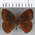  ( - CFC19182)  @11 [ ] copyright (2020) Christer Fahraeus Center For Collection-Based Research