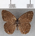  ( - CFC19228)  @11 [ ] copyright (2020) Christer Fahraeus Center For Collection-Based Research