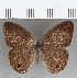  ( - CFC19229)  @11 [ ] copyright (2020) Christer Fahraeus Center For Collection-Based Research