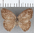  ( - CFC19251)  @11 [ ] copyright (2020) Christer Fahraeus Center For Collection-Based Research