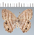  ( - CFC19268)  @11 [ ] copyright (2022) Center For Collection-Based Research Center For Collection-Based Research
