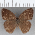  ( - CFC19281)  @11 [ ] copyright (2020) Christer Fahraeus Center For Collection-Based Research