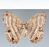  ( - CFC19293)  @11 [ ] copyright (2022) Center For Collection-Based Research Center For Collection-Based Research