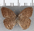  ( - CFC19302)  @11 [ ] copyright (2020) Christer Fahraeus Center For Collection-Based Research