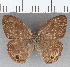  ( - CFC19307)  @11 [ ] copyright (2020) Christer Fahraeus Center For Collection-Based Research