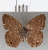  ( - CFC19416)  @11 [ ] copyright (2020) Christer Fahraeus Center For Collection-Based Research