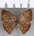  ( - CFC19511)  @11 [ ] copyright (2020) Christer Fahraeus Center For Collection-Based Research